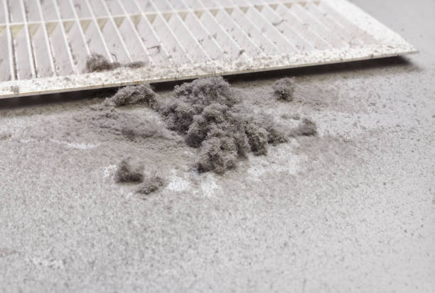 Best Duct Cleaning Specialists  in Sheldon, IA
