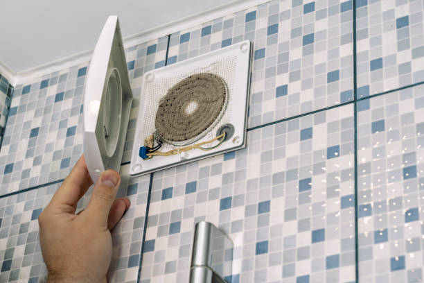 Best Air Duct Inspection  in Sheldon, IA