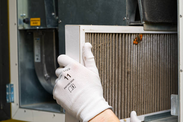Best Air Vent Cleaning Services  in Sheldon, IA