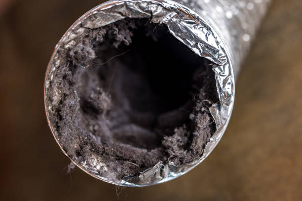 Best Emergency Air Duct Cleaning  in Sheldon, IA