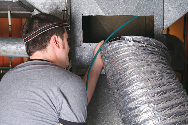 Best Duct Cleaning for Homes  in Sheldon, IA