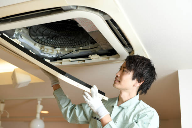 Best Affordable Duct Cleaning Services  in Sheldon, IA