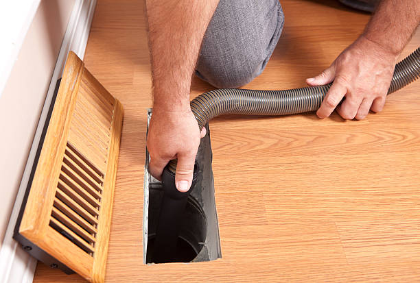 Best Air Duct Mold Removal  in Sheldon, IA