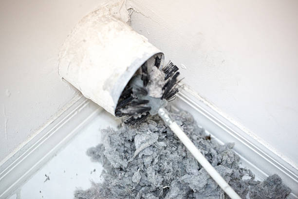 Best Residential Air Duct Cleaning  in Sheldon, IA